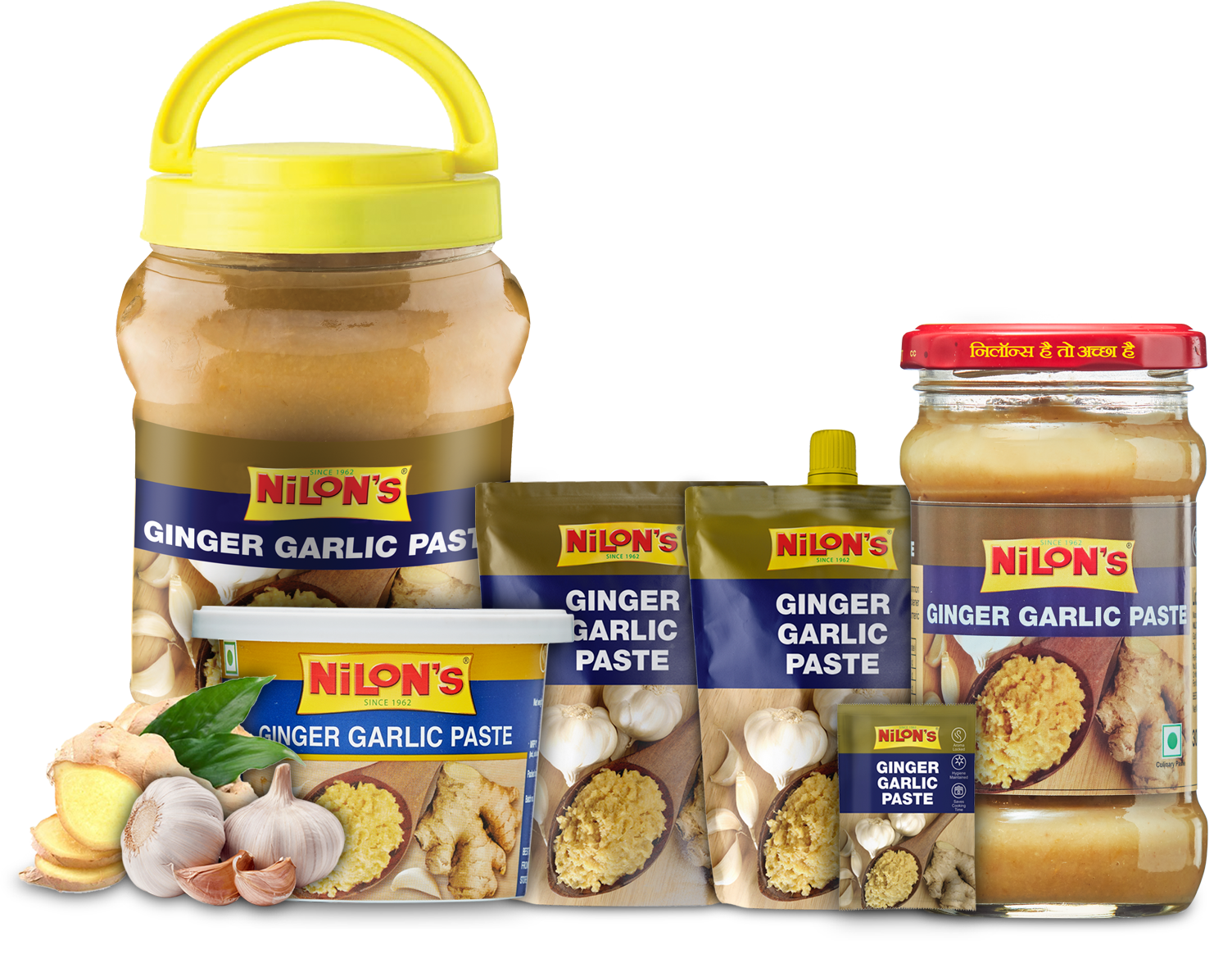 Buy Best Ginger Garlic Paste Online, Best Garlic Paste & Ginger Garlic ...